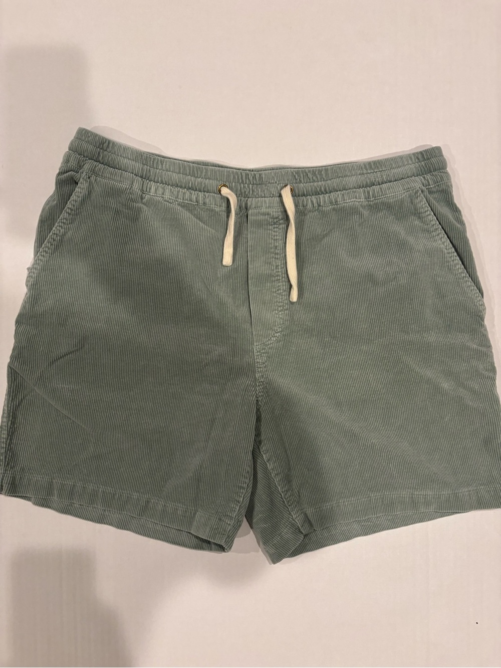 Marine Layer Men’s Large Saturday Corduroy Shorts 6” Inseam Blue Cotton Soft